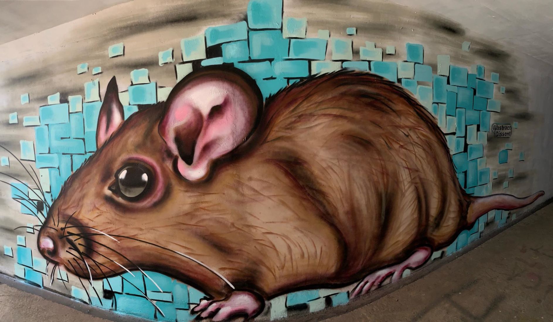 street art 3.jpg
